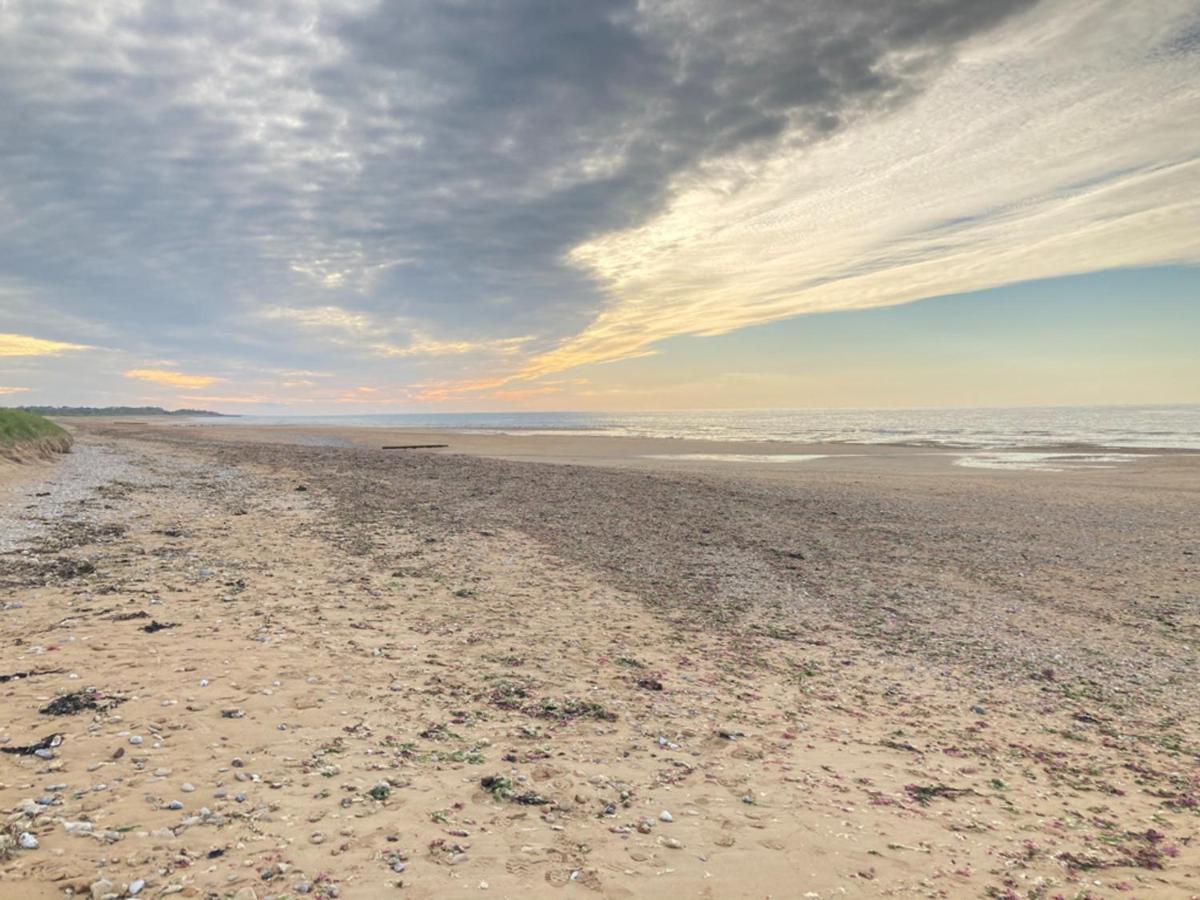 La Plage - Appartement Vue Mer Courseulles-sur-Mer Eksteriør billede